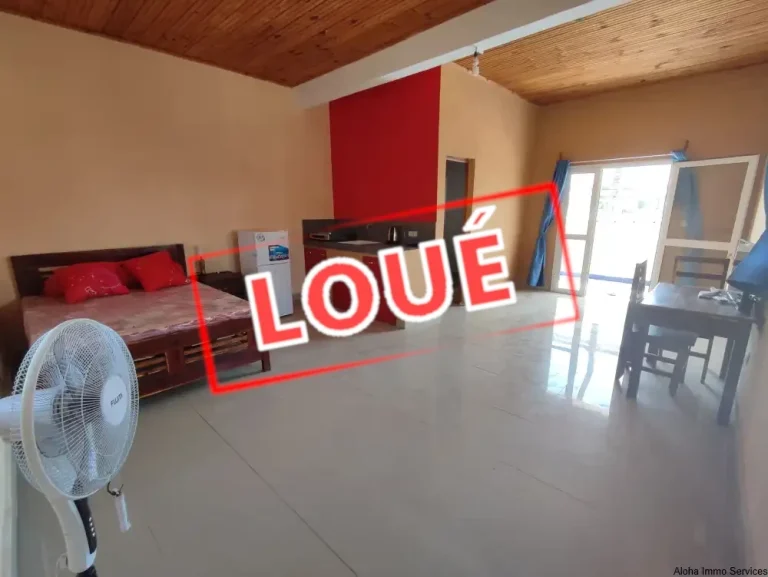 Lire la suite à propos de l’article Studios meublés & équipés en ville