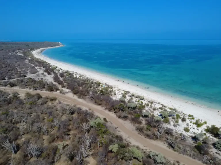 Lire la suite à propos de l’article Terrain 5000m2 lagon paradisiaque